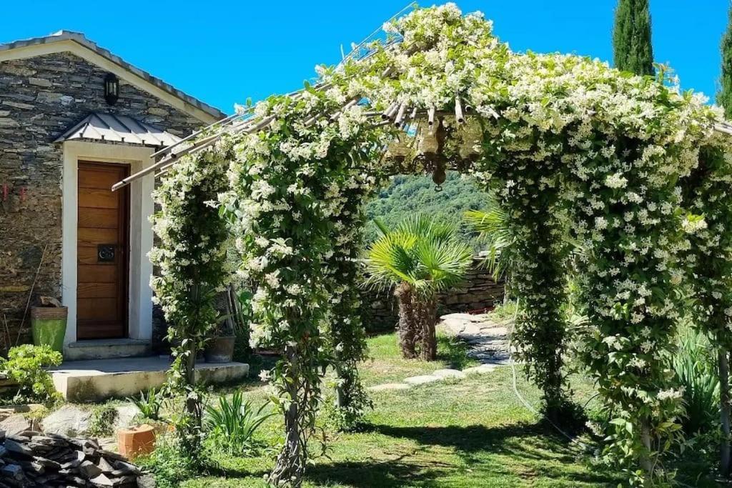 Villa Casa Santini dans Domaine privé, Piscine, Jacuzzi Porri Esterno foto