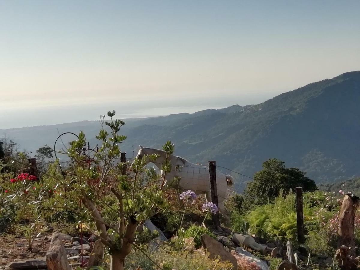 Villa Casa Santini dans Domaine privé, Piscine, Jacuzzi Porri Esterno foto